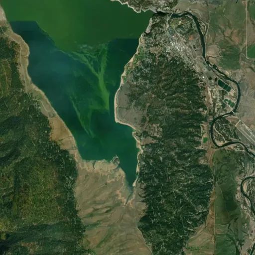 Bird's eye view of the park