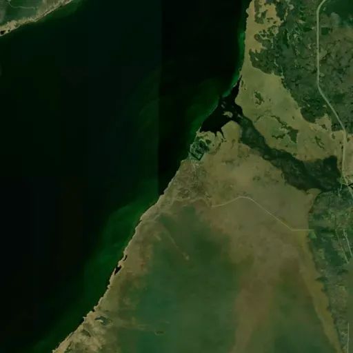 Bird's eye view of the park