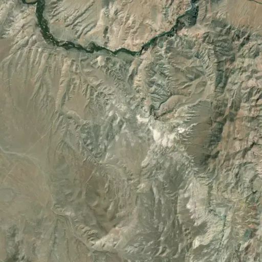 Bird's eye view of the park