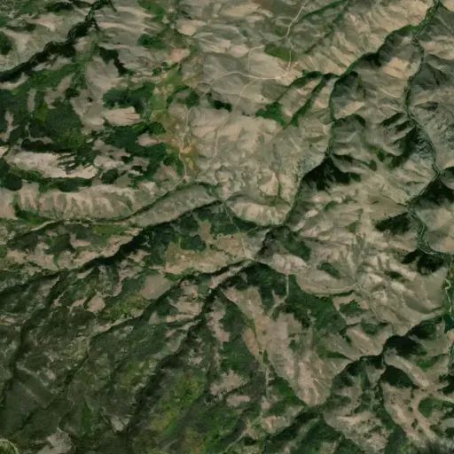 Bird's eye view of the park