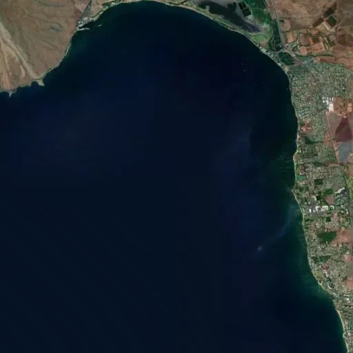 Bird's eye view of the park