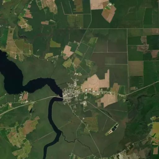 Bird's eye view of the park