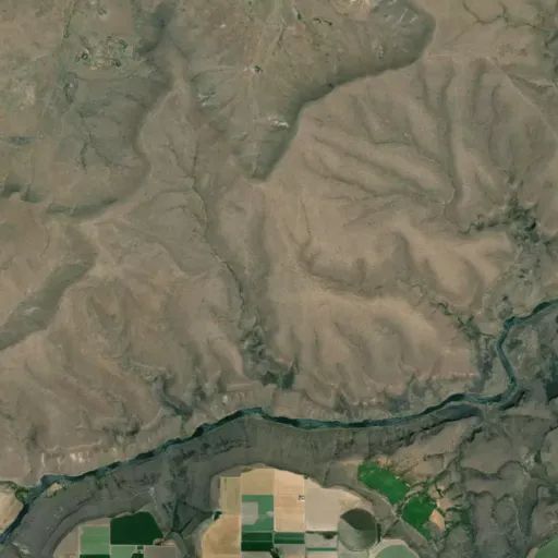 Bird's eye view of the park