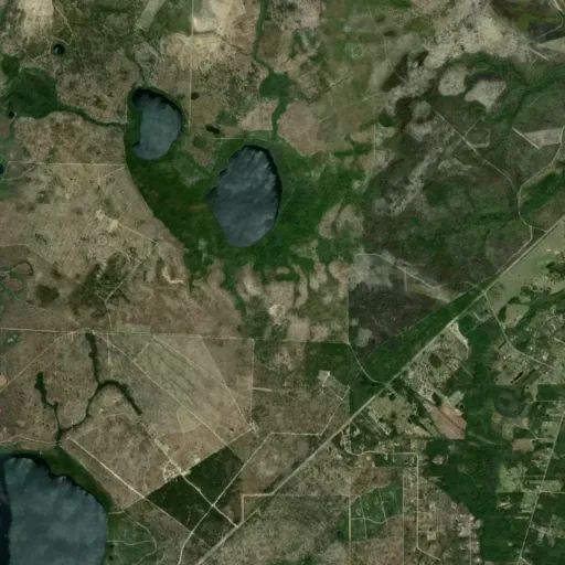 Bird's eye view of the park