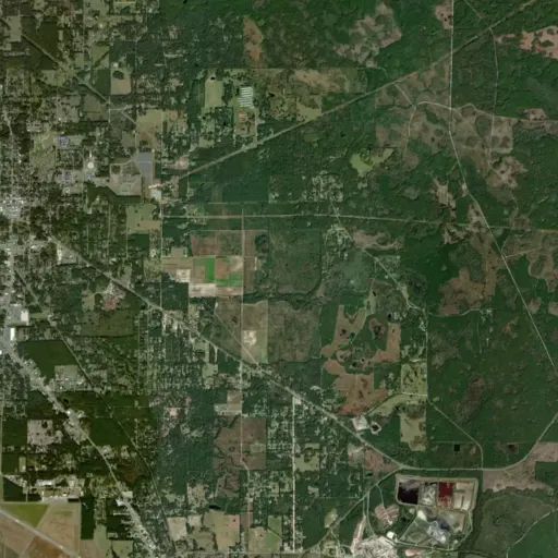 Bird's eye view of the park