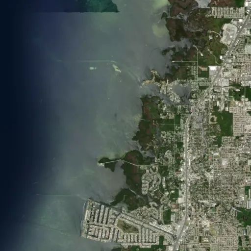 Bird's eye view of the park