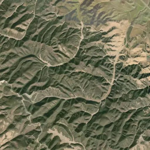 Bird's eye view of the park
