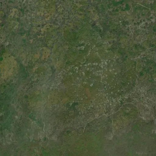 Bird's eye view of the park