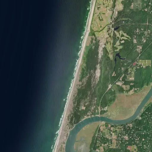 Bird's eye view of the park