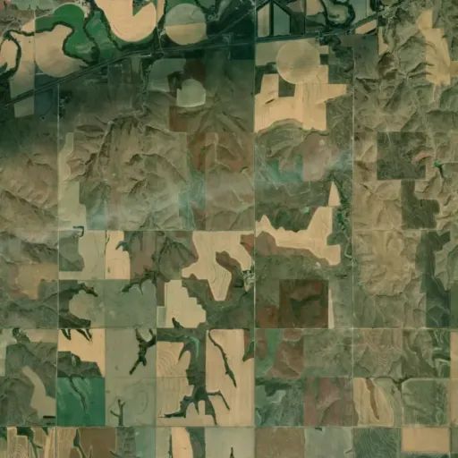 Bird's eye view of the park
