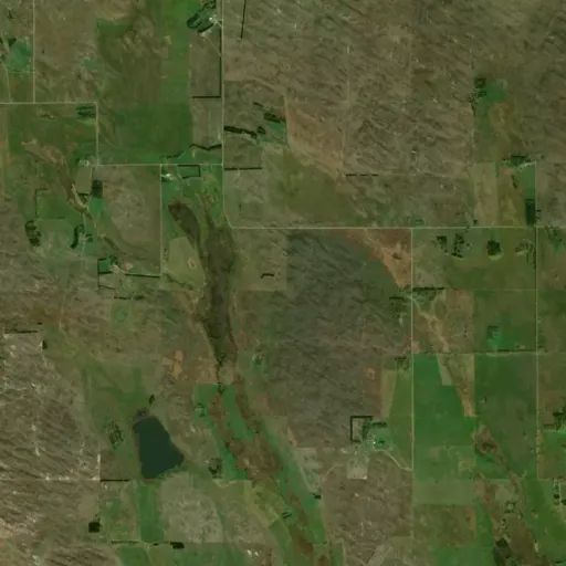 Bird's eye view of the park