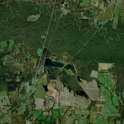 Bird's eye view of the park