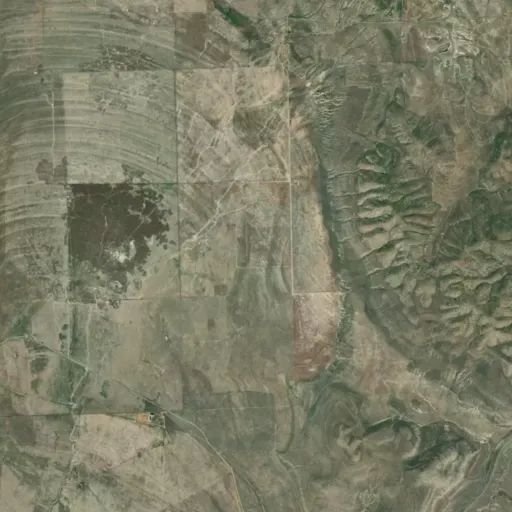 Bird's eye view of the park