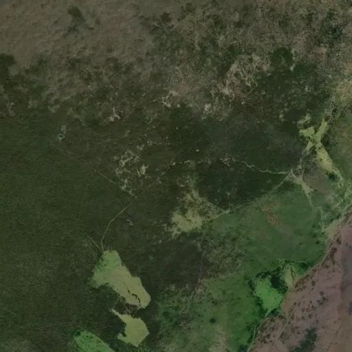 Bird's eye view of the park