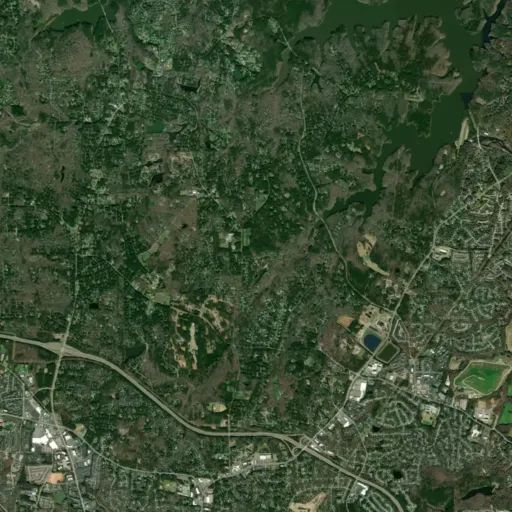 Bird's eye view of the park
