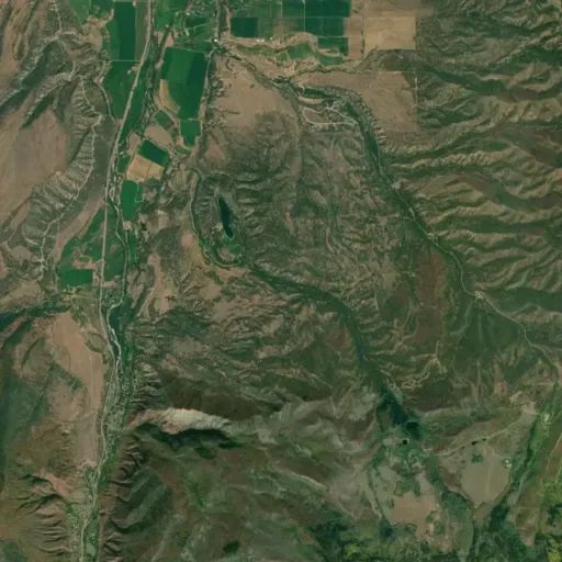 Bird's eye view of the park