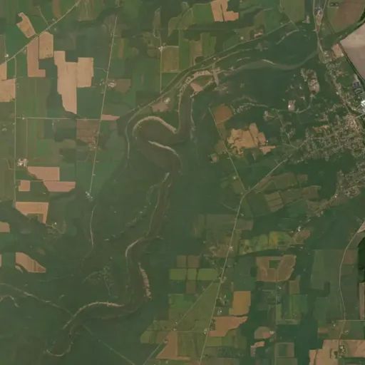 Bird's eye view of the park